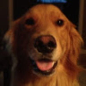 Meet your Posher, Eve